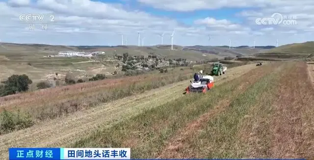 金秋丰收景象_金秋风景图片_金秋好“丰”景