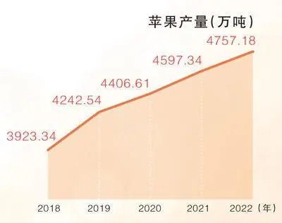 苹果变成红色_“红苹果”正变成“金苹果”_苹果变成红金苹果的过程