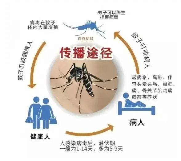 广东东莞新增5例新型肺炎_广东肇庆新增1例_广东一周新增1770例登革热