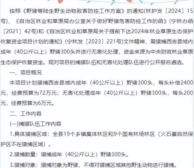 野猪致害26省 多地招募“野猪猎人” 猎人行动 全民防控