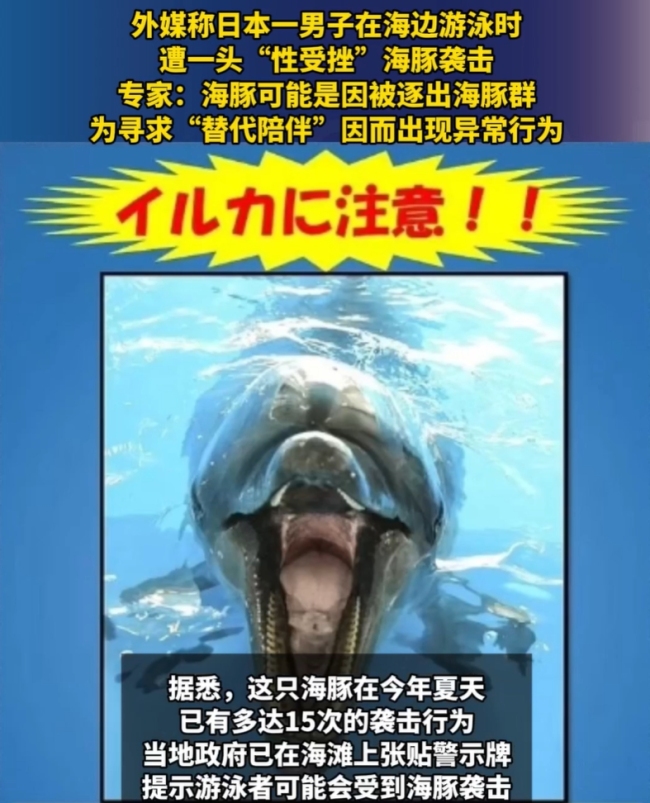 日本男子遭一头“性受挫”海豚袭击