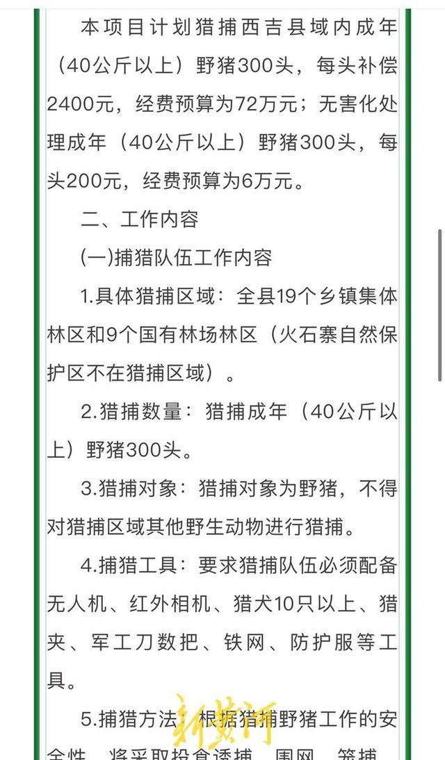 宁夏抓1头野猪奖2400元背后：有团队十几个人40多条猎狗，仅捕获一头