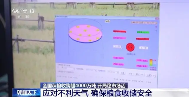 收购粮食_全国秋粮收购超4000万吨_秋粮收购新闻