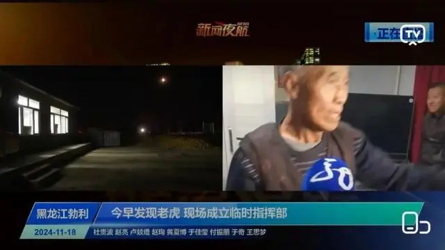 东北虎闯进村庄咬伤村民_被东北虎咬伤的村民左手保住了_东北虎咬伤村民发声