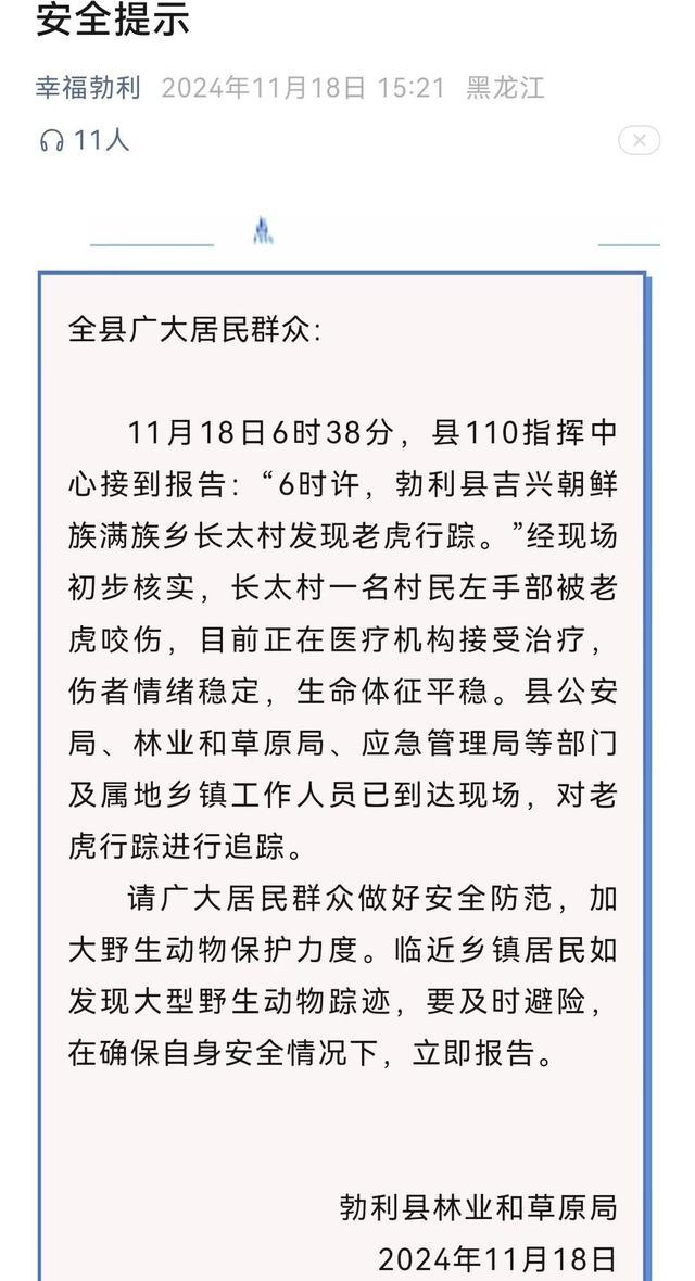 专家称伤人老虎或来自俄罗斯 村民首次遭遇惊魂时刻