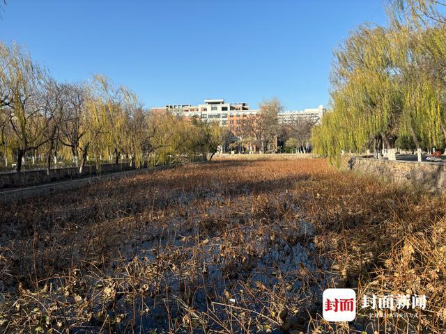 女子连夜抄古诗十九首送别叶嘉莹 诗意告别引发共鸣