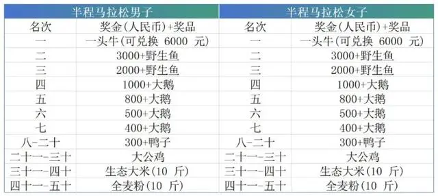 马拉松比赛“冠军奖励一头牛”_深圳马拉松第一名有什么奖励_迷你马拉松有奖励吗