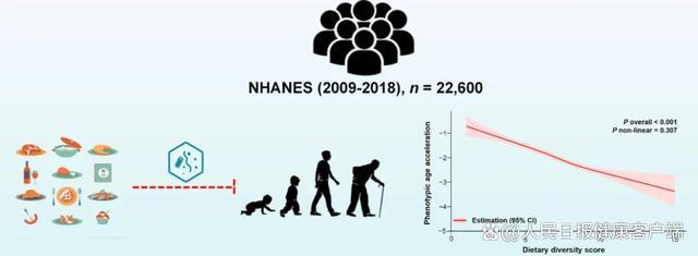 “会吃”的人更年轻 饮食多样化减缓衰老