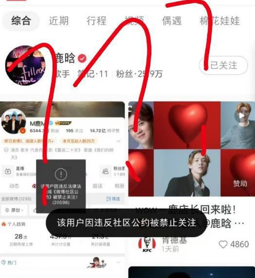 鹿晗账号禁止关注平台是真的吗_鹿晗账号禁止关注平台是什么_鹿晗全平台账号被禁止关注