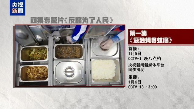 年度反腐大片第二集 风腐同查同治