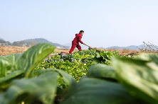 郭学军外交部经济司_外交部新任发言人郭嘉昆亮相_外交部郭宇