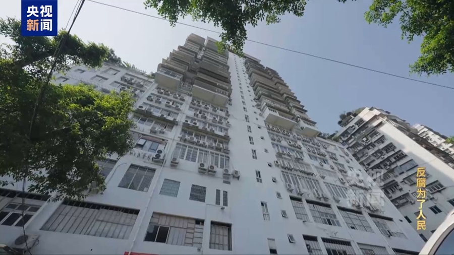 明媚阳光什么意思_明媚阳光_“今天阳光明媚”竟是欢迎围猎暗号