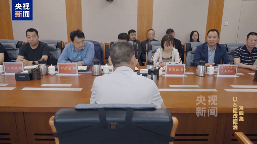 明媚阳光什么意思_“今天阳光明媚”竟是欢迎围猎暗号_明媚阳光