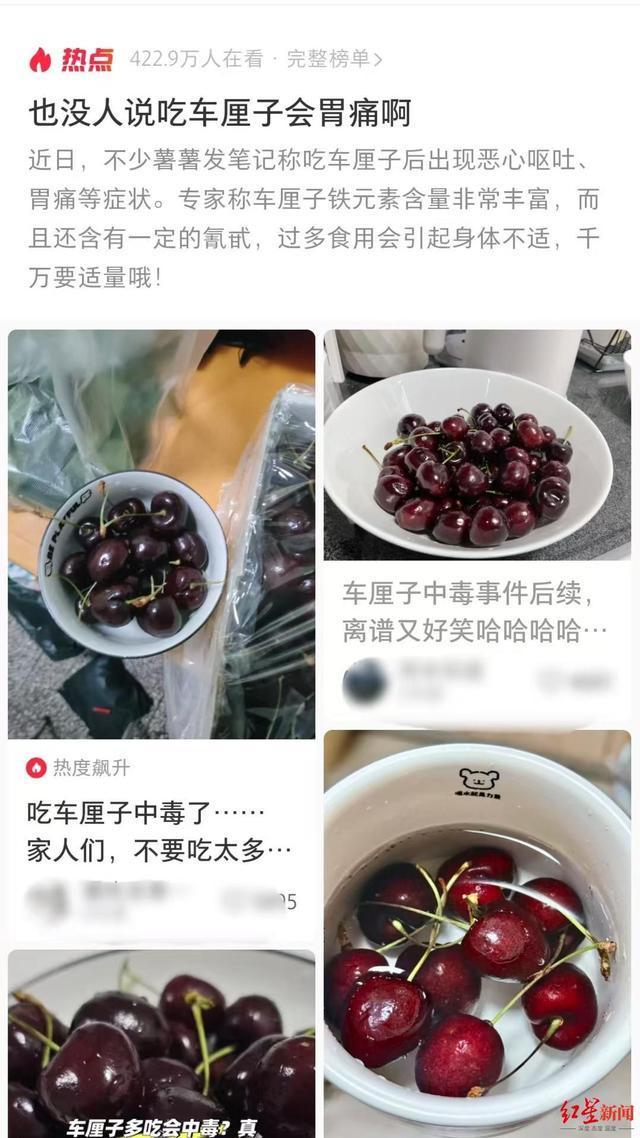 车厘子吃多了会铁中毒？谣言