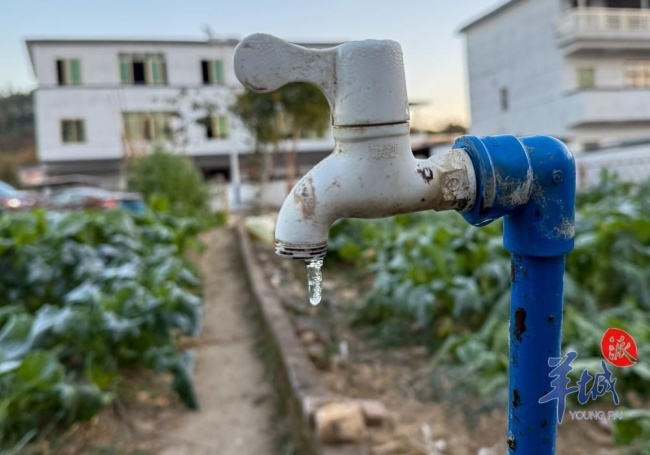 广州冻到结冰 北部山区出现少见冰霜冻现象