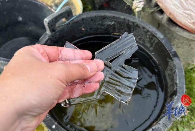 广州冻到结冰 北部山区出现少见冰霜冻现象