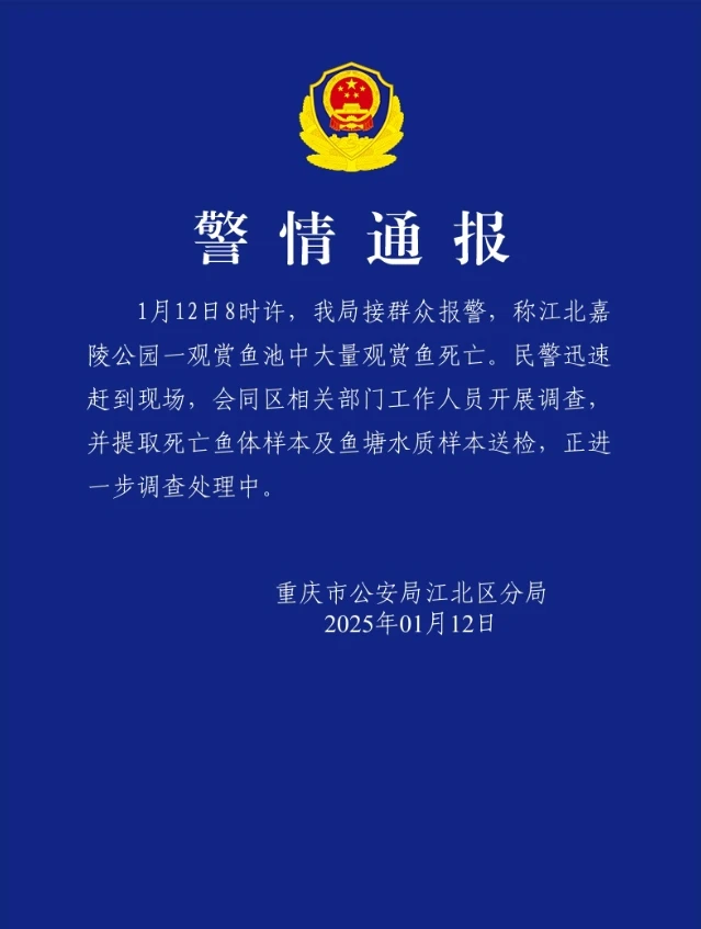 观音桥死亡锦鲤装满三十多个编织袋_观音桥死亡锦鲤装满三十多个编织袋_观音桥死亡锦鲤装满三十多个编织袋