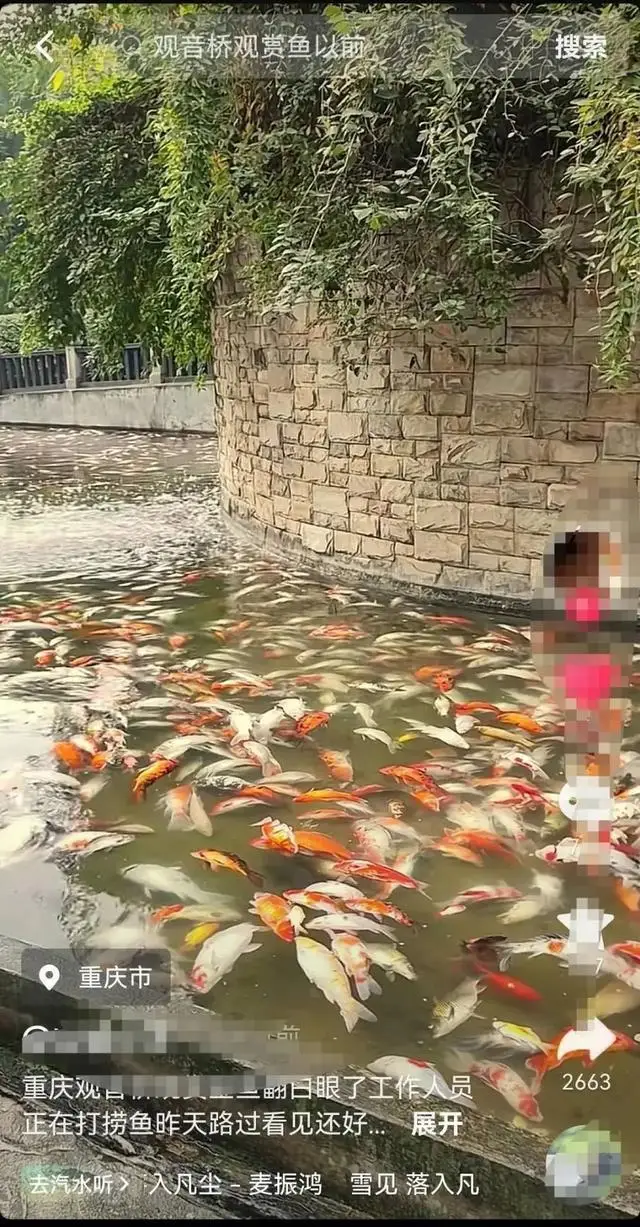 观音桥死亡锦鲤装满三十多个编织袋_观音桥死亡锦鲤装满三十多个编织袋_观音桥死亡锦鲤装满三十多个编织袋