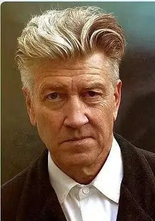 大卫·林奇去世_大卫林奇最优秀的三部电影_大卫.林奇