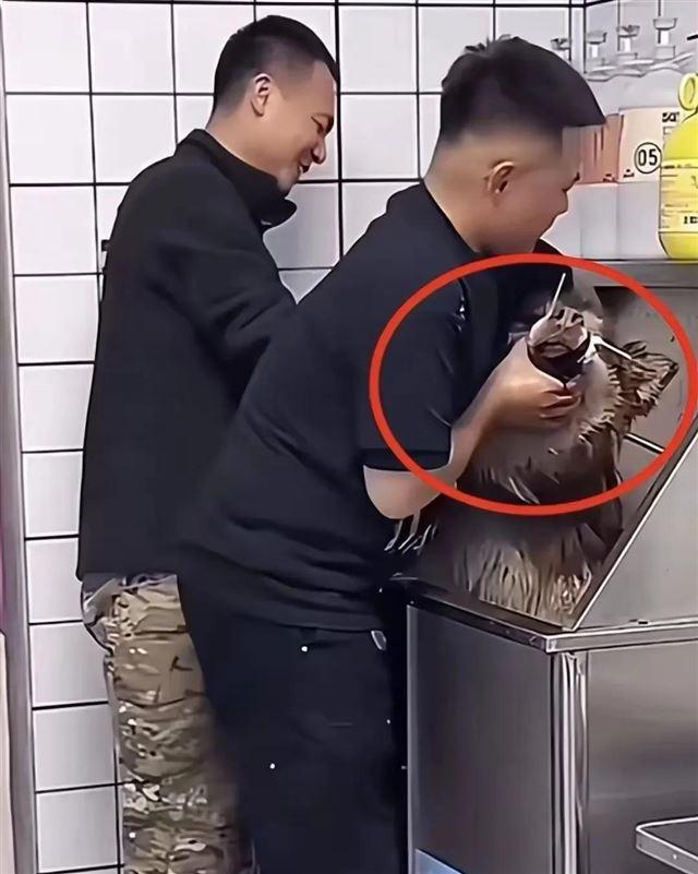 兽医称网红狗艾特或是窒息死亡 直播悲剧引发关注