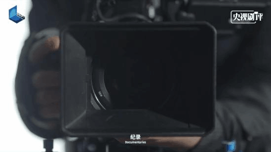 守护中华文化的事例_守护好中华民族的文化瑰宝_守护文化瑰宝作文