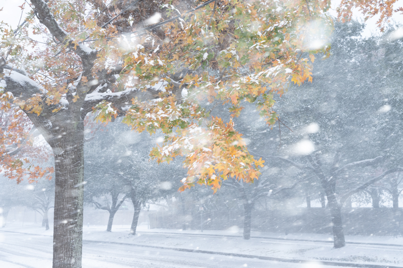 冬季风暴席卷美国多地_风暴冬季死亡造成美国人受伤_冬季风暴在美国已造成至少9人死亡