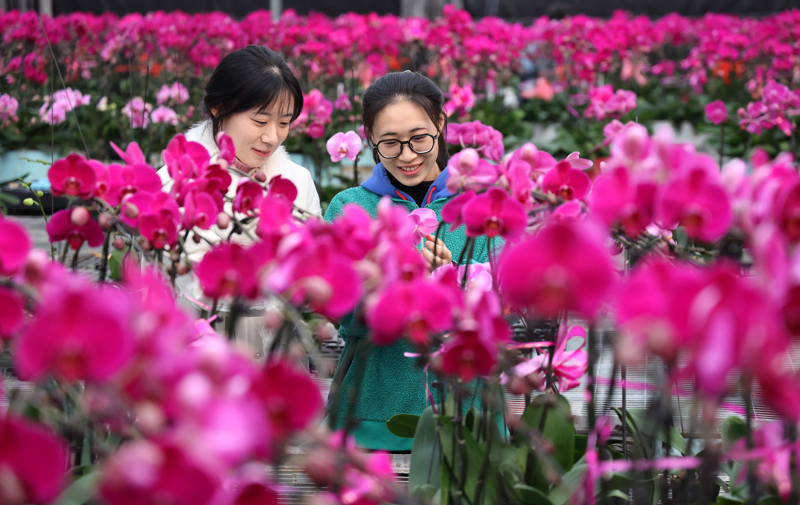 冬季风暴席卷美国多地_冬季风暴在美国已造成至少9人死亡_风暴冬季死亡造成美国人受伤