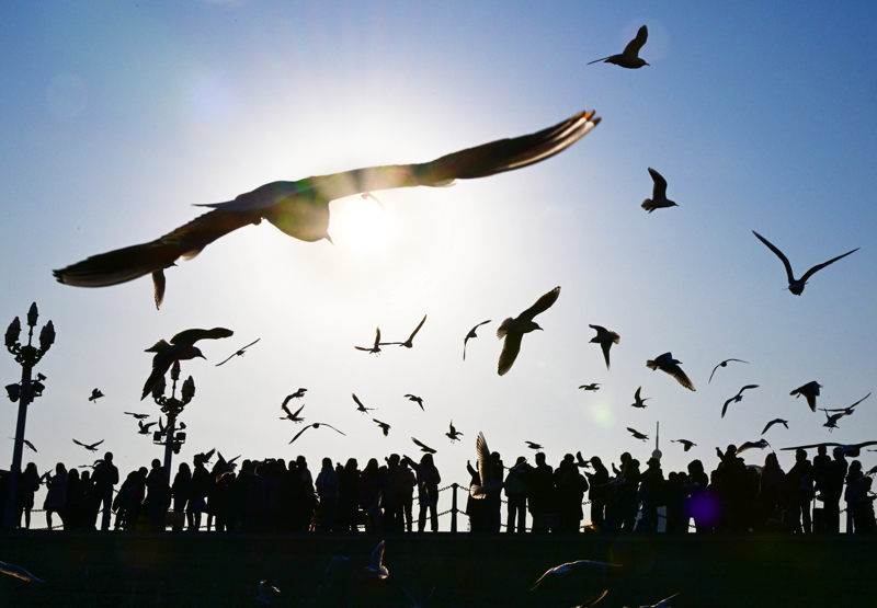 风暴冬季死亡造成美国人受伤_冬季风暴席卷美国多地_冬季风暴在美国已造成至少9人死亡