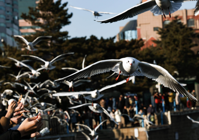 风暴冬季死亡造成美国人受伤_冬季风暴席卷美国多地_冬季风暴在美国已造成至少9人死亡