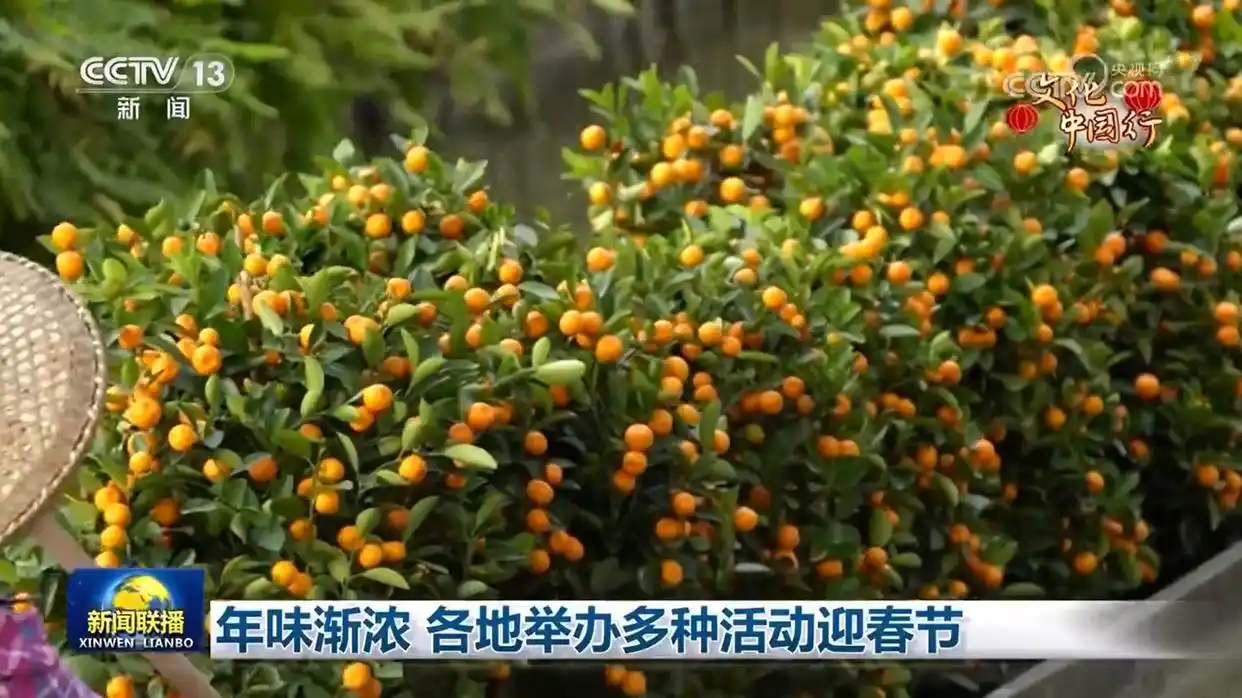 s大学举办心理健康节活动_2017年小米米粉节活动_年味渐浓 各地举办多种活动迎春节