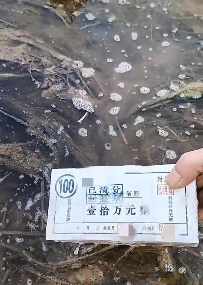 河里钓起整箱现金?谣言