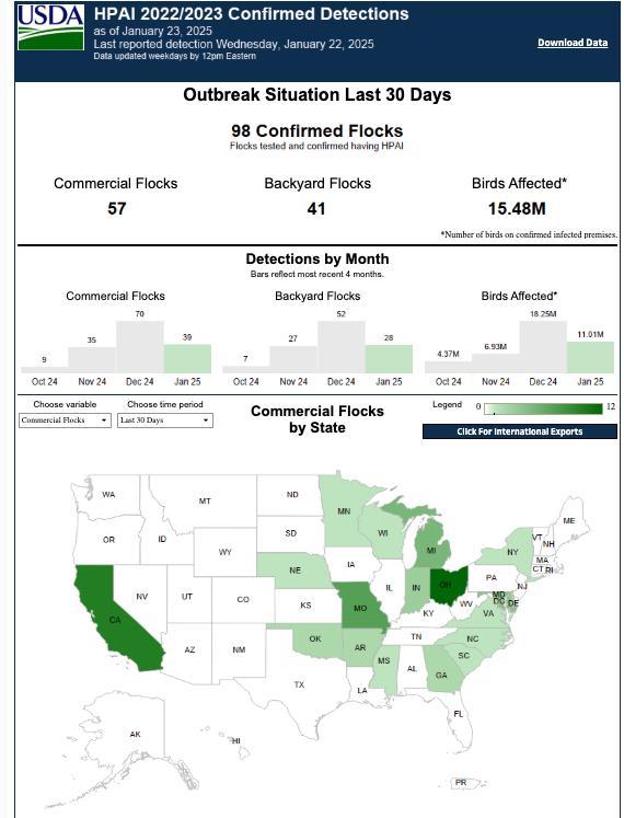 美国鸡蛋到底涨到多贵 1美元1枚成常态