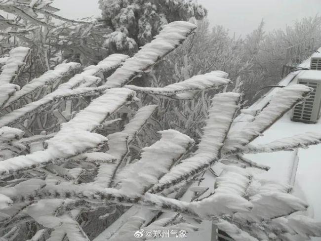 郑州出现大暴雪 积雪深度超20厘米