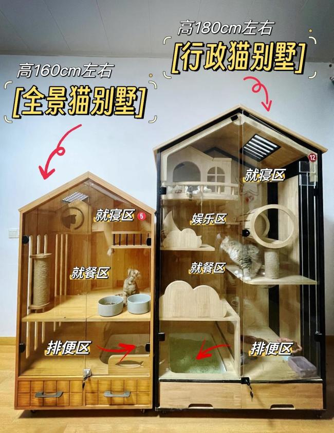 女子称上门喂猫110元一次一天20家 春节宠物照看需求激增