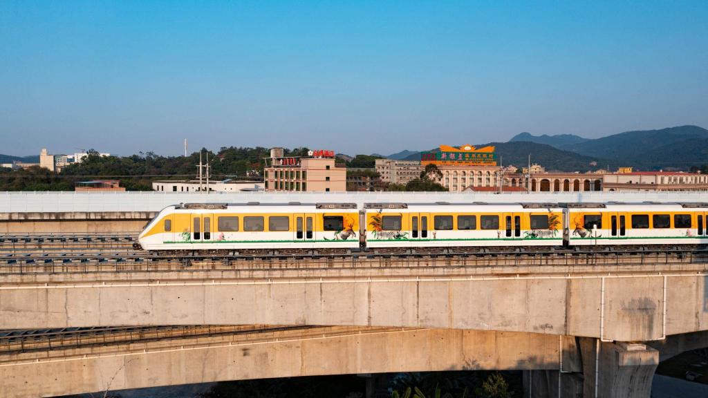 韩国当事裁判谈柯洁退赛_韩国当事裁判谈柯洁退赛_韩国当事裁判谈柯洁退赛