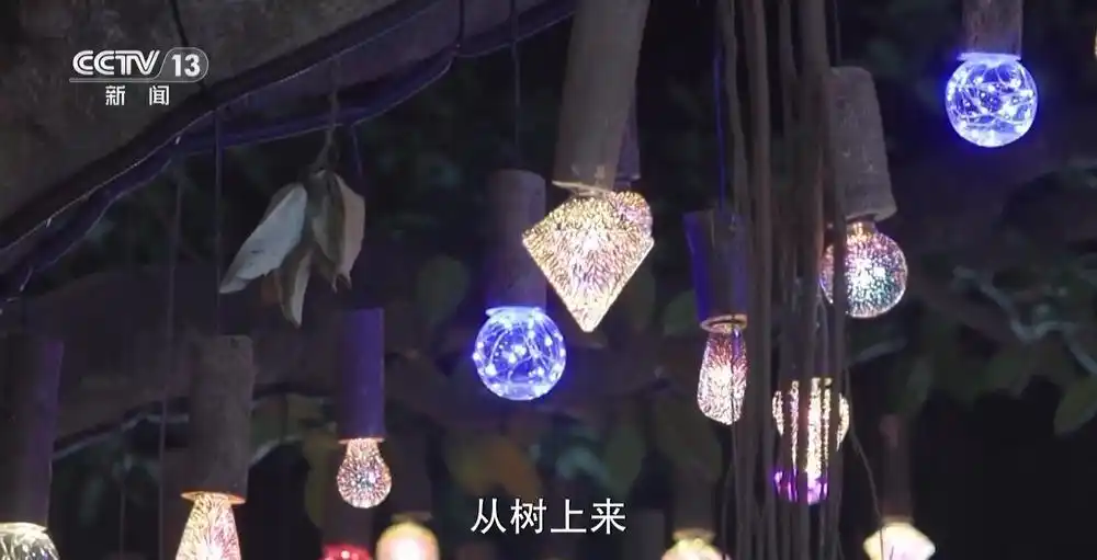 看看不一样的低碳新“年味”_看看b的样孑_新木盛低碳产业园