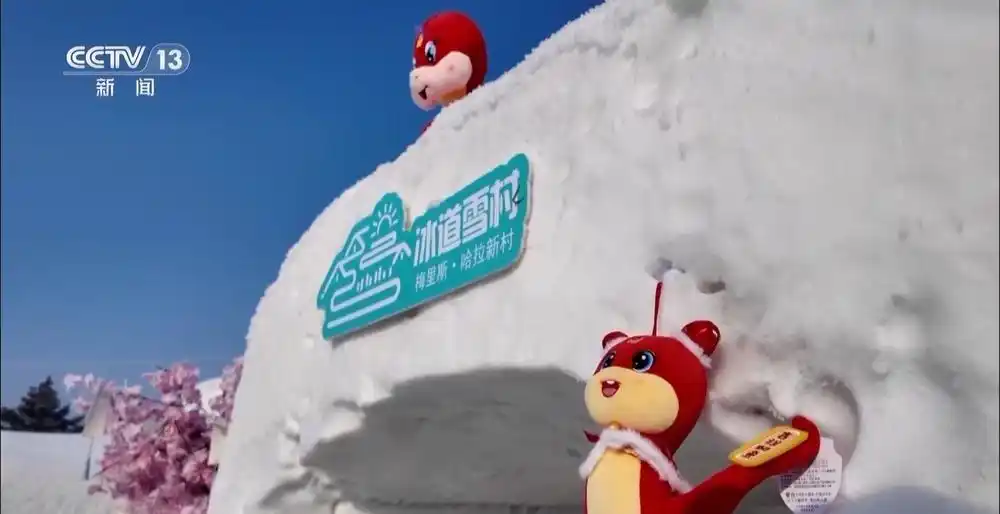 新木盛低碳产业园_看看不一样的低碳新“年味”_看看b的样孑