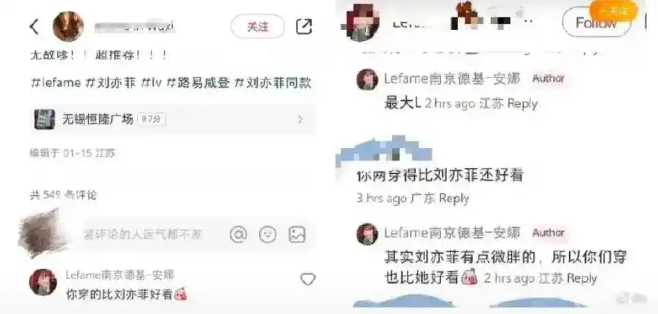 刘亦菲宋承宪韩国评论_柜姐评论刘亦菲微胖被辞退_微胖才是最好的身材评论