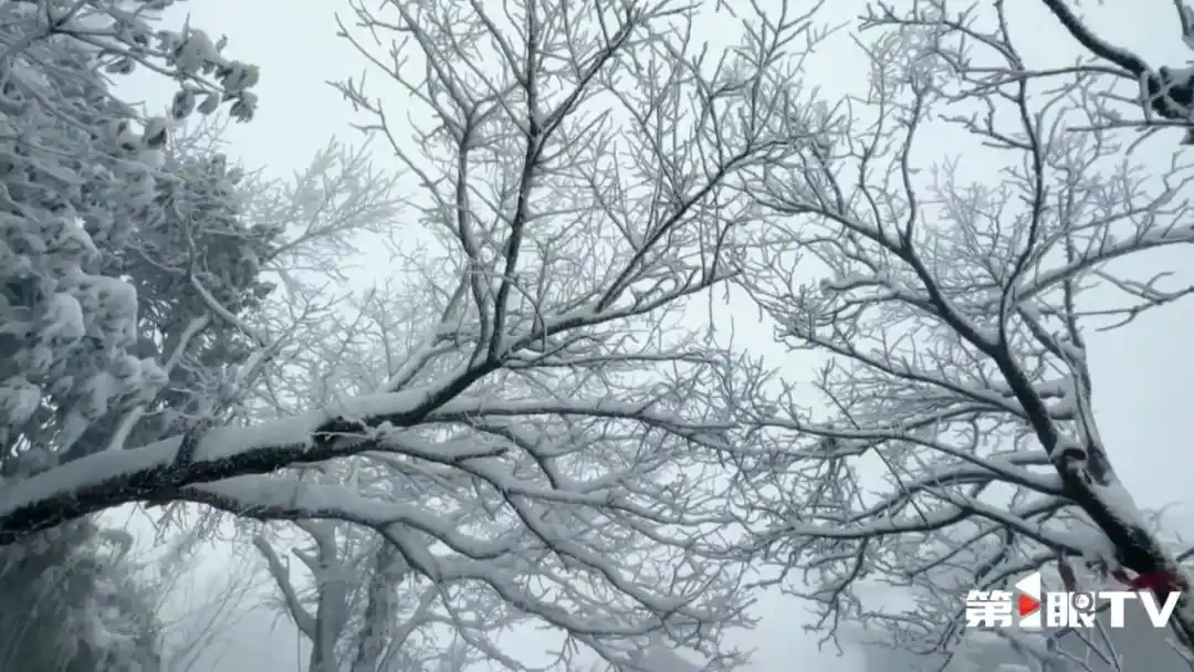 瑞雪兆丰年_瑞雪兆丰年下一句是什么_瑞雪兆丰年的句子唯美