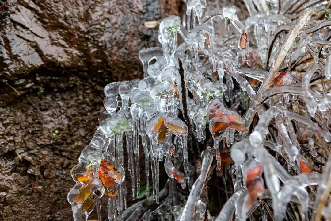 瑞雪兆丰年_瑞雪兆丰年的句子唯美_瑞雪兆丰年下一句是什么