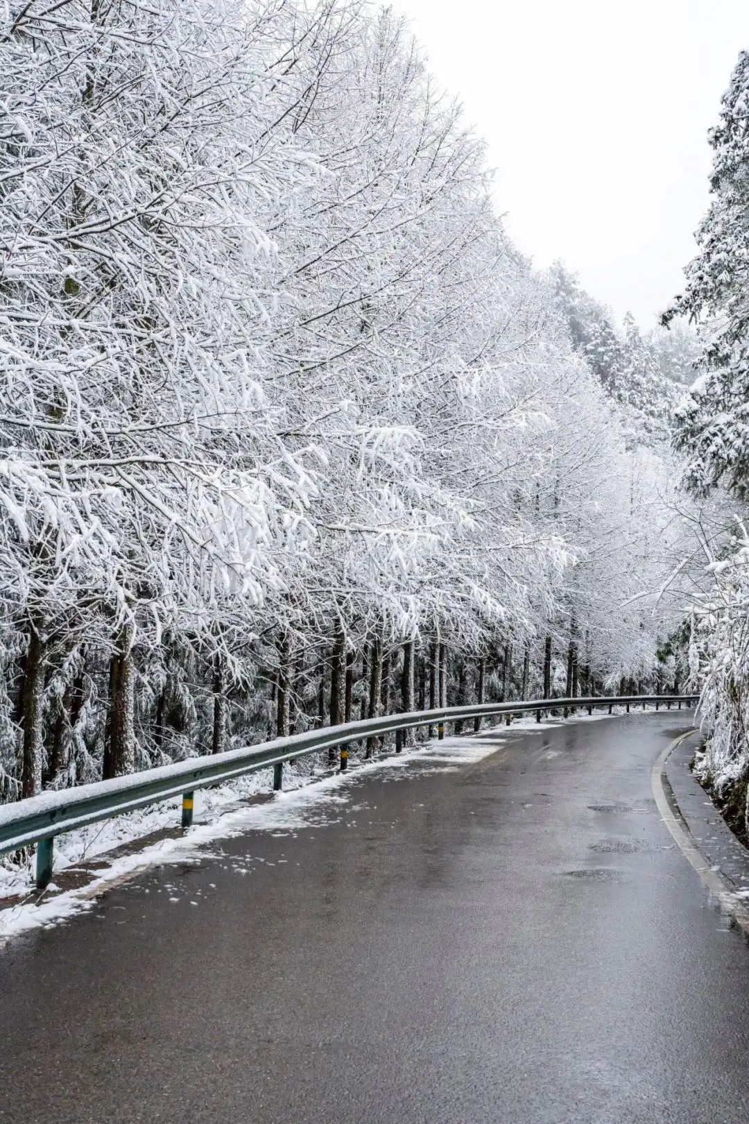 瑞雪兆丰年_瑞雪兆丰年的句子唯美_瑞雪兆丰年下一句是什么