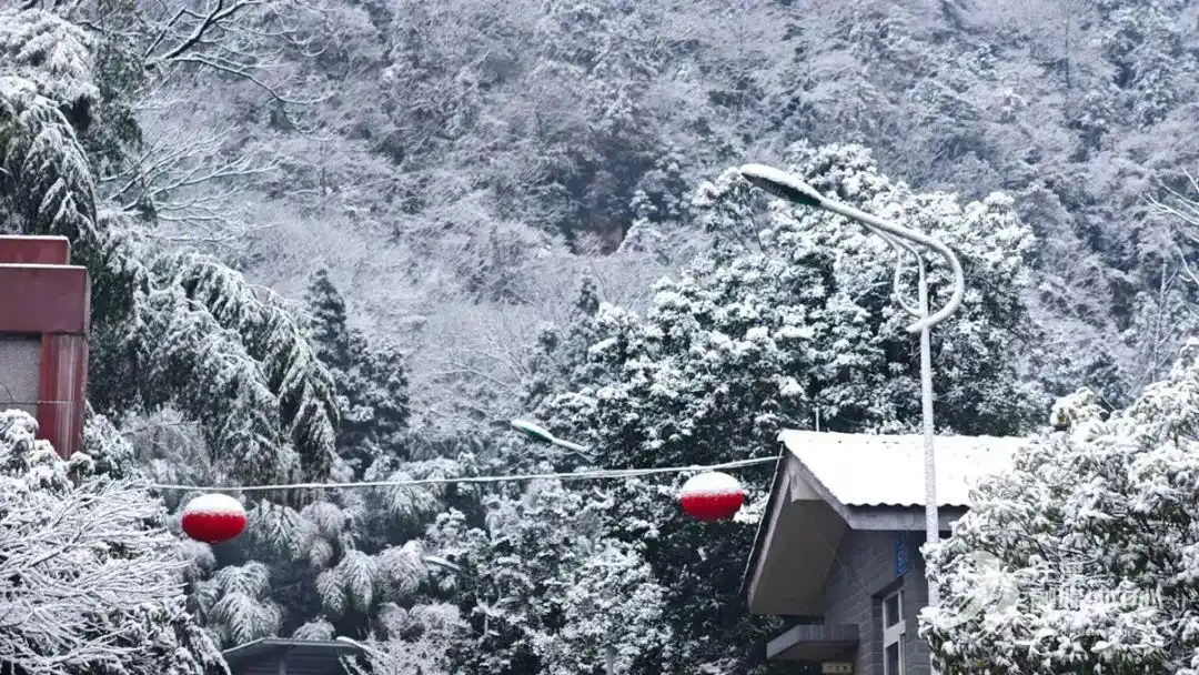 瑞雪兆丰年_瑞雪兆丰年下一句是什么_瑞雪兆丰年的句子唯美