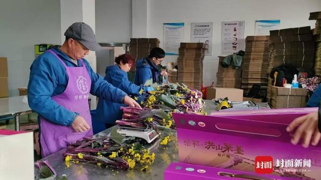 两根菜薹卖18888元 公司：已下架 天价蔬菜引发热议