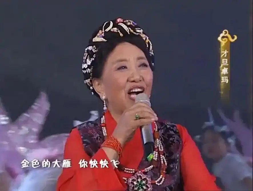 轮椅小品演员_坐轮椅的小品_88岁的她坐轮椅出现在春晚