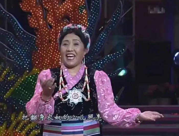 坐轮椅的小品_88岁的她坐轮椅出现在春晚_坐轮椅的主持人