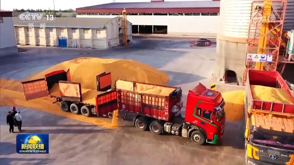 辞旧迎新春_迎新春辞旧年_张灯结彩辞旧岁 喜气洋洋迎新春