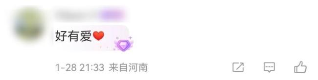 扶着点咱“奶”别摔了 春晚机器人秀技