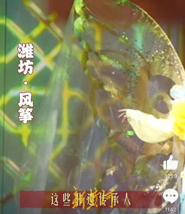 李子柒春晚战袍揭秘 非遗技艺闪耀舞台