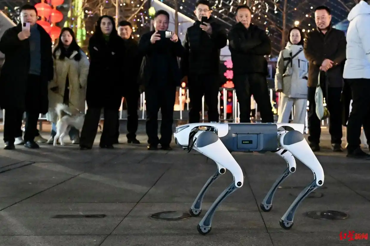 20余款“成都造”机器人除夕夜齐现_20余款“成都造”机器人除夕夜齐现_20余款“成都造”机器人除夕夜齐现