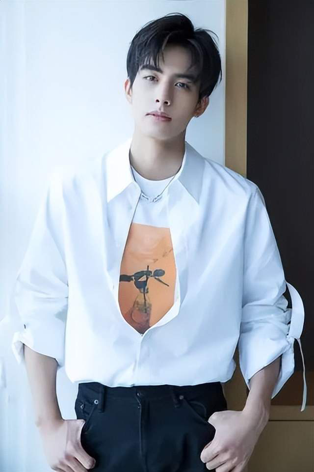 张新演过的电视_张新成演技_演员张新成的个人简历